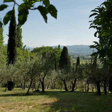 Villa Degli Ulivi Assisi Bagian luar foto