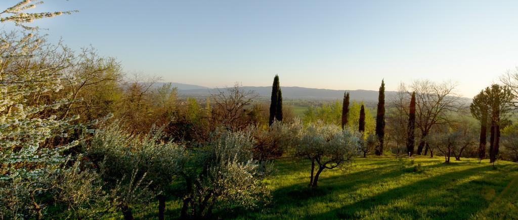 Villa Degli Ulivi Assisi Ruang foto