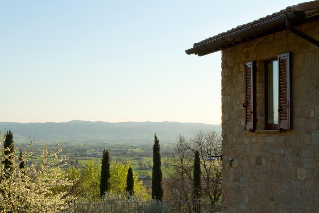 Villa Degli Ulivi Assisi Bagian luar foto
